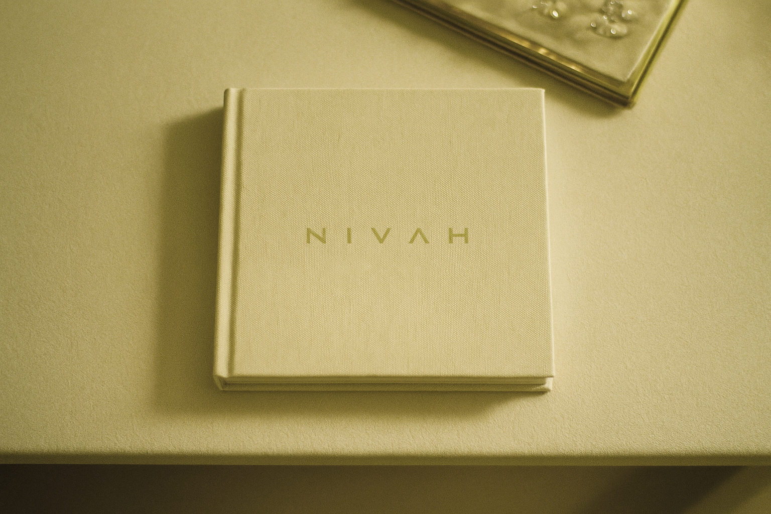 Consultoria Especializada